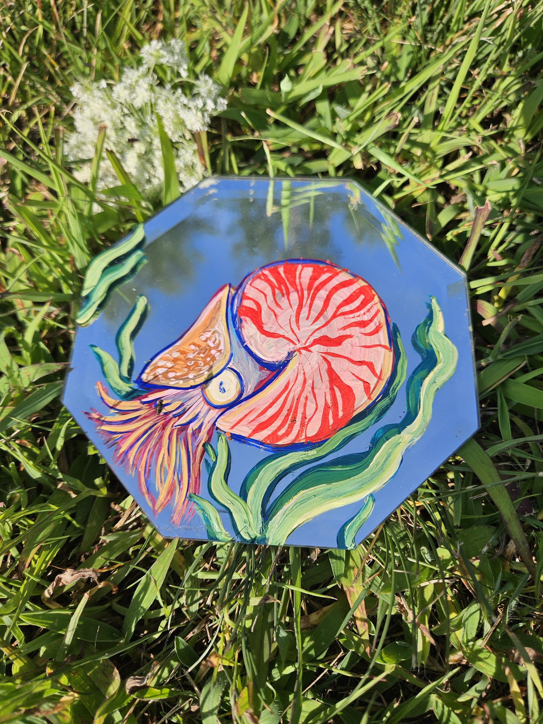 Mirror Painting: Nautilus