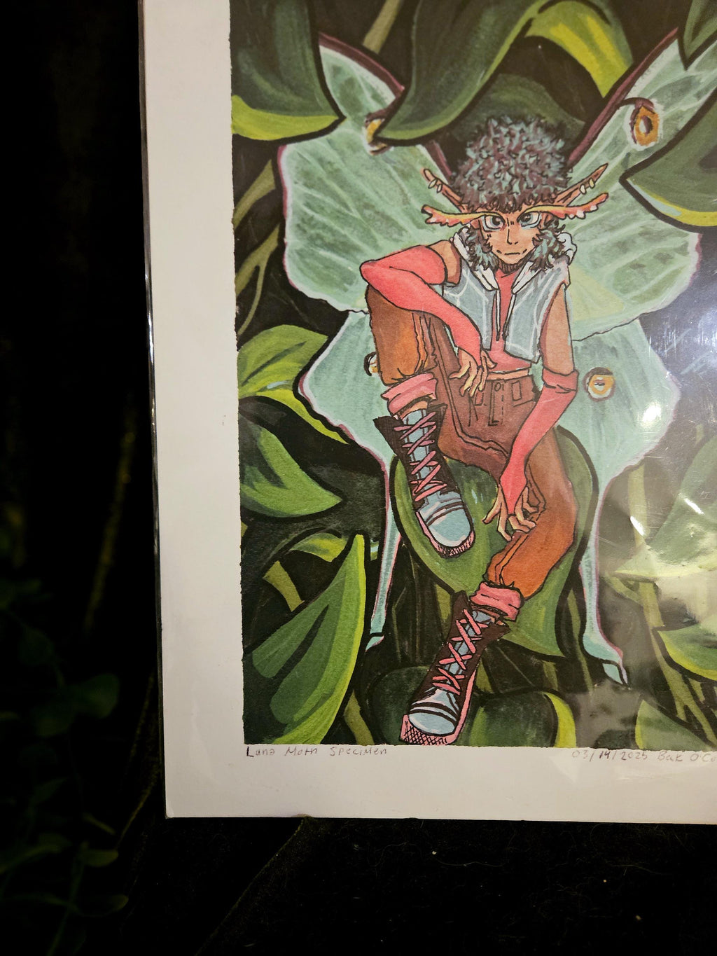 Moth Fae Specimen No. 5