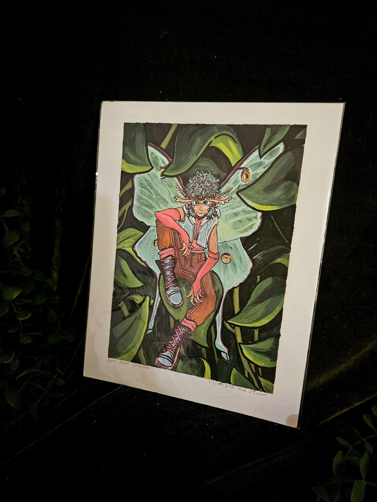 Moth Fae Specimen No. 5