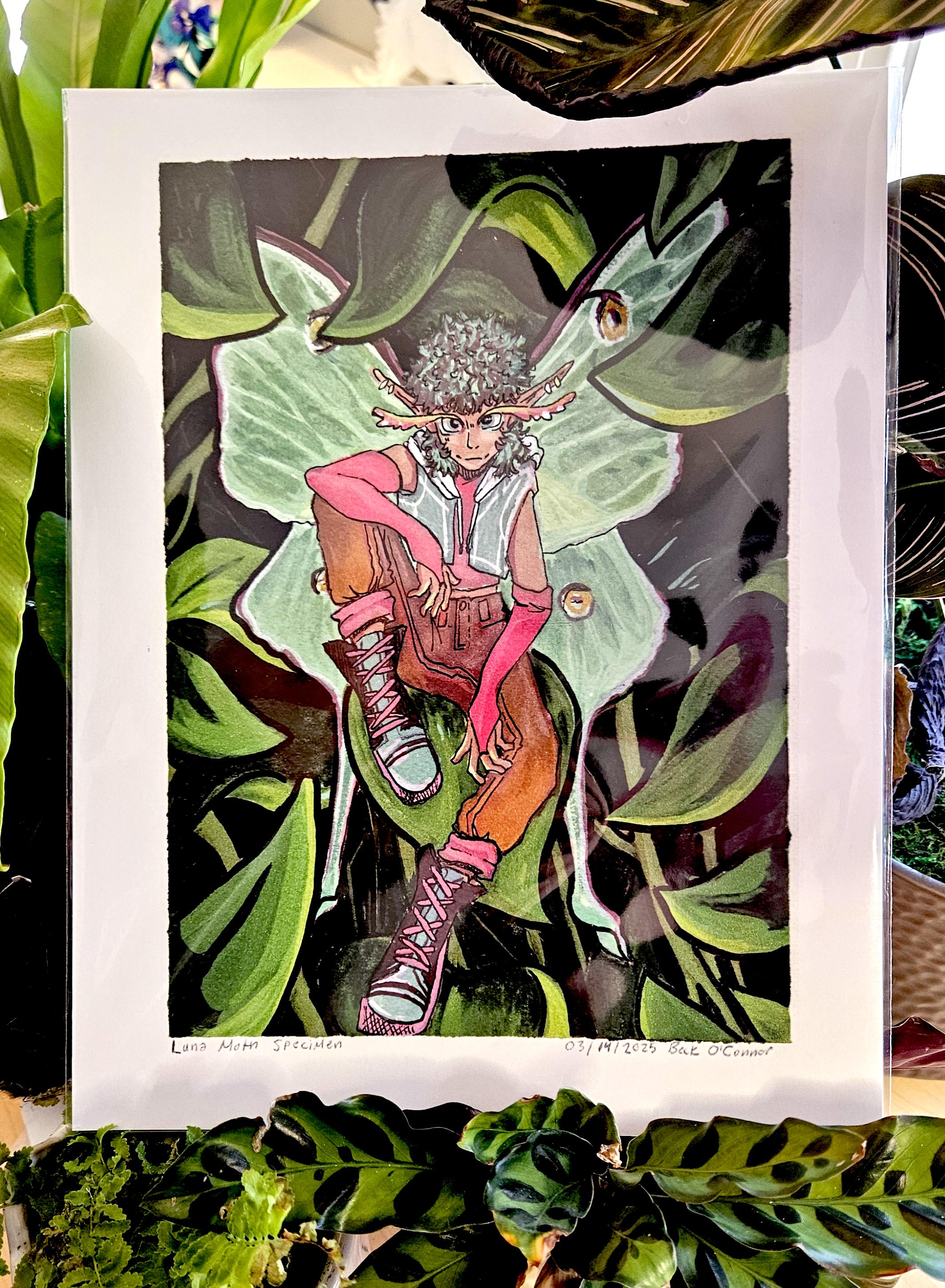 Moth Fae Specimen No. 5