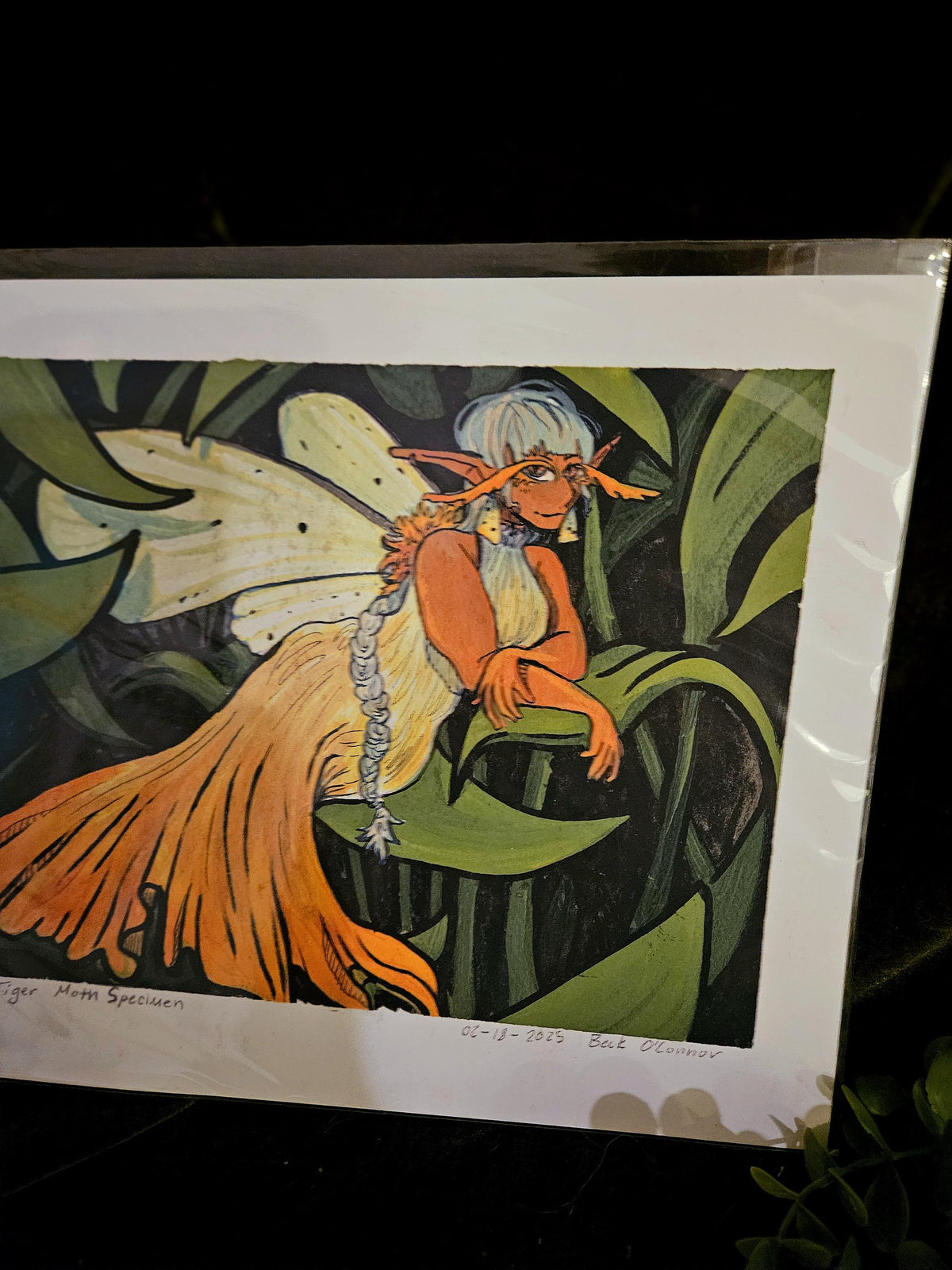 Moth Fae Specimen No. 4