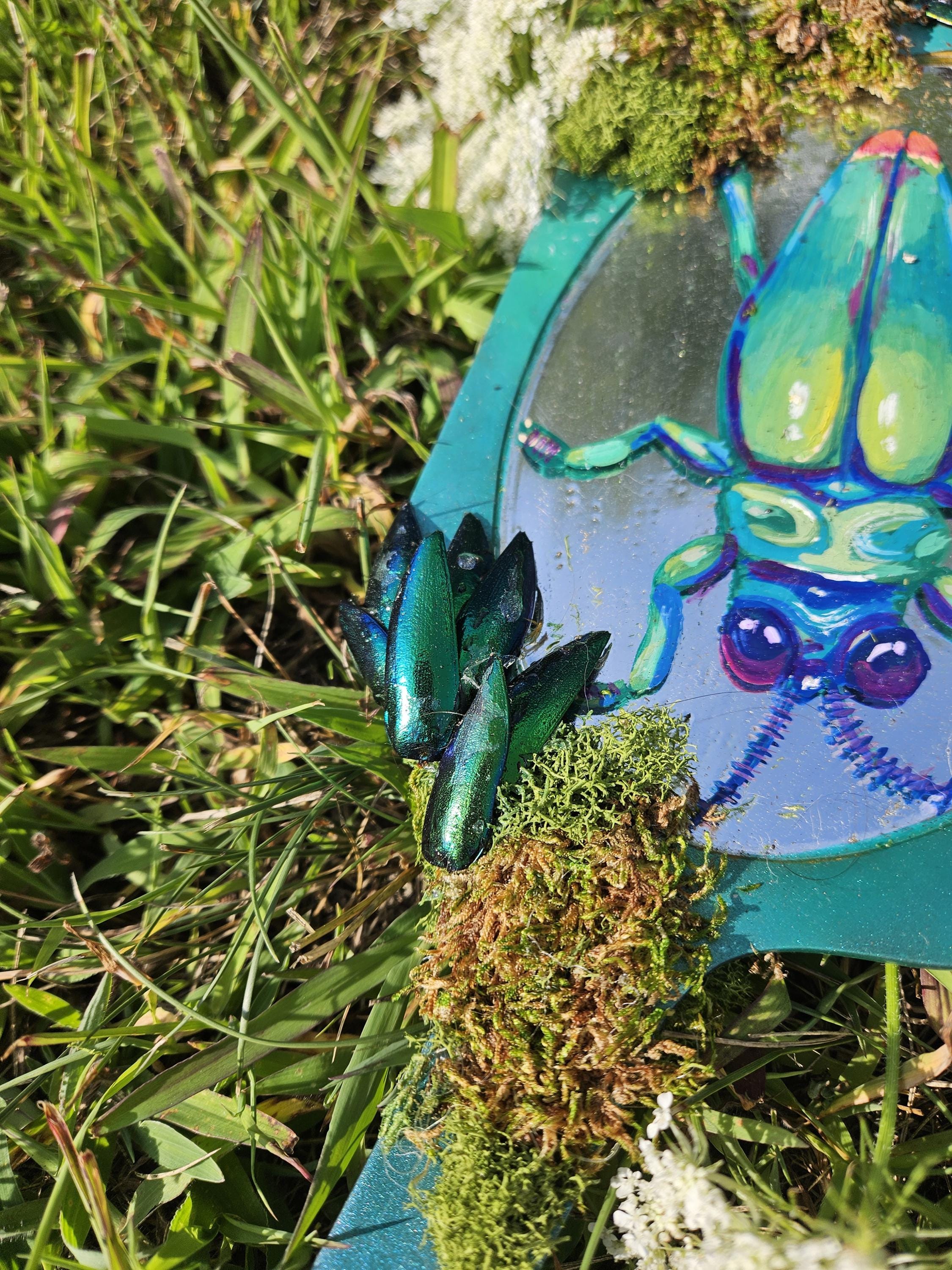 Mirror Painting: Beetle