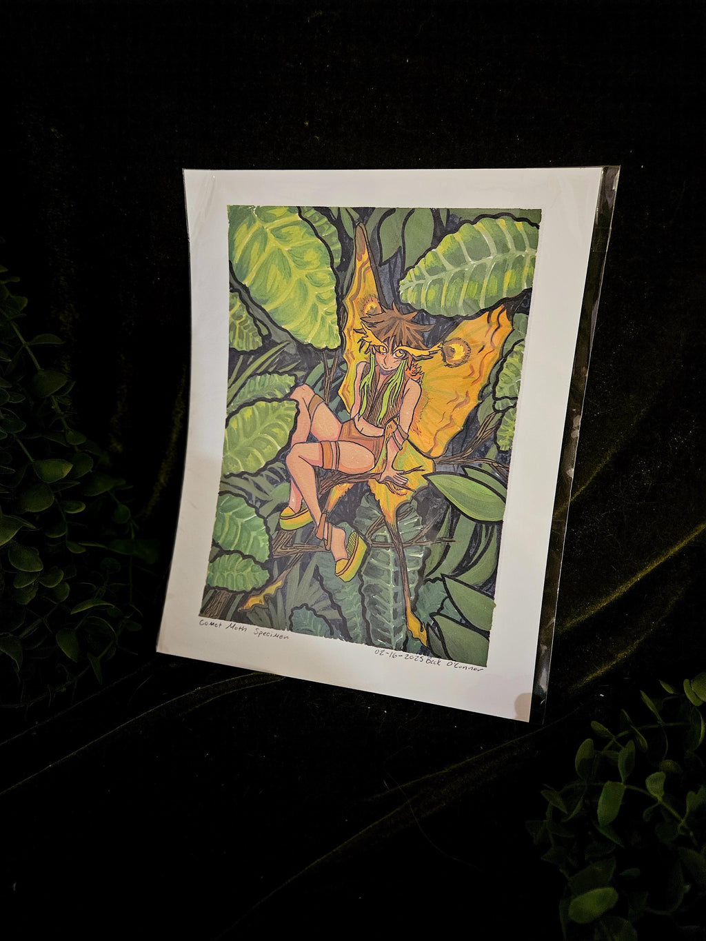 Moth Fae Specimen No. 3