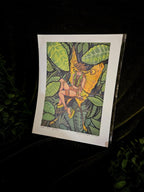 Moth Fae Specimen No. 3