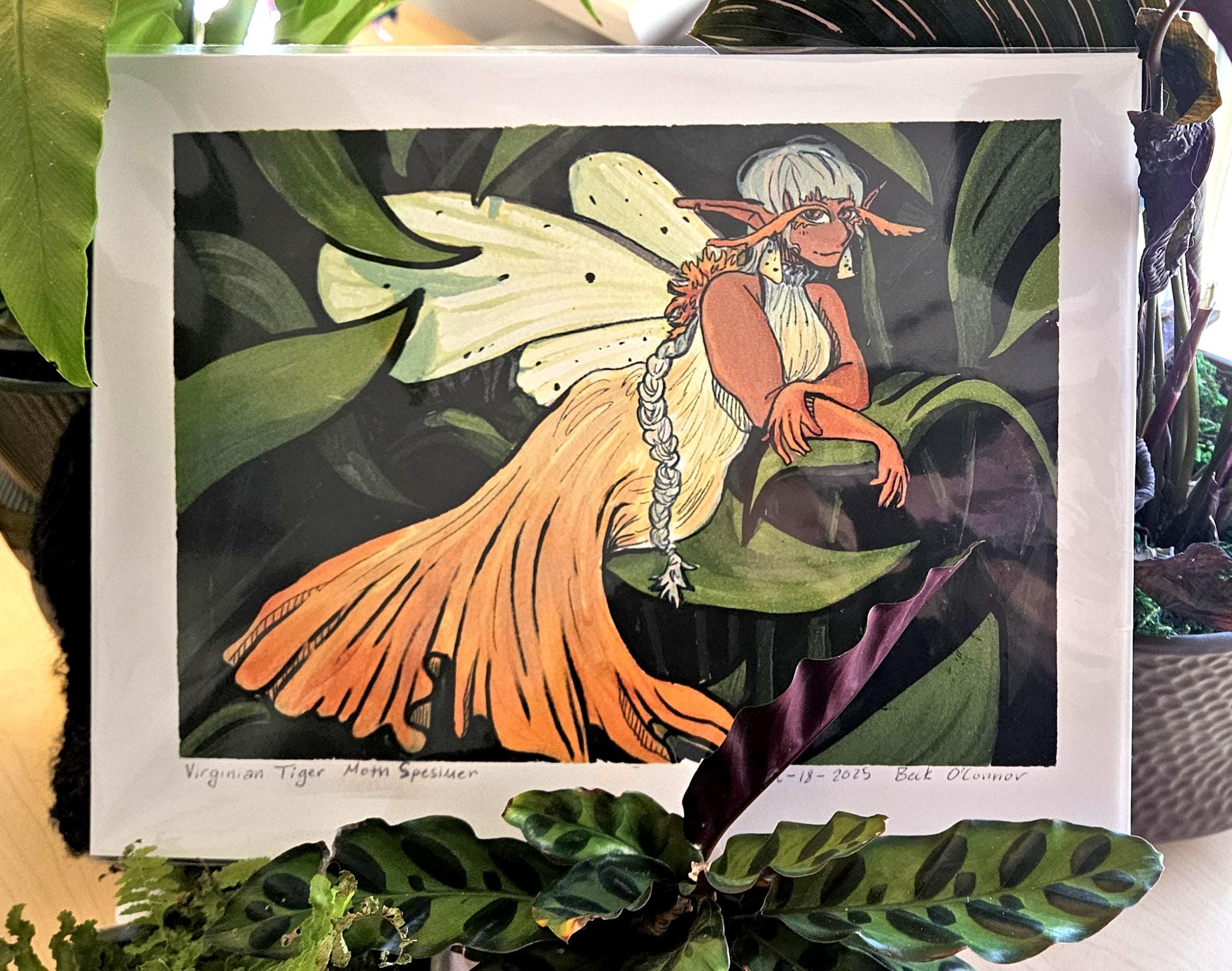 Moth Fae Specimen No. 4