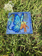 Mirror Paintings: Butterfly Pixies