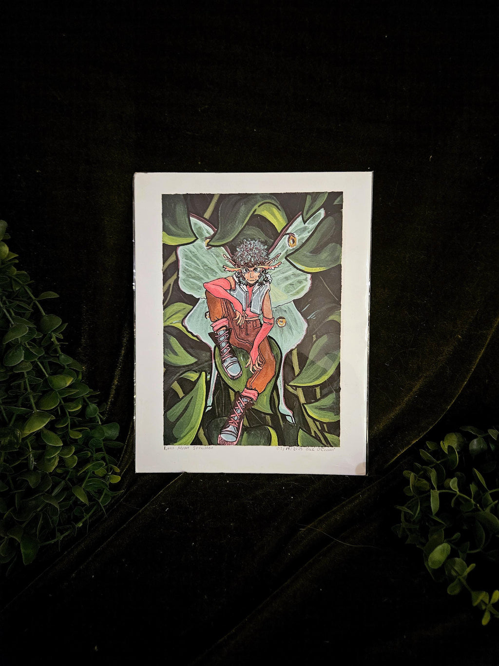Moth Fae Specimen No. 5