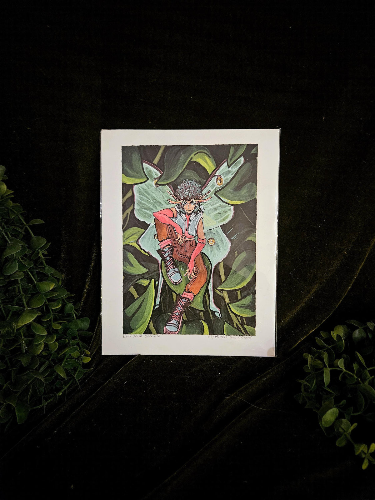 Moth Fae Specimen No. 5